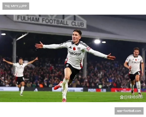 富勒姆新援鲍勃有望首秀 冬窗引援提升球队边路攻击力 富勒姆新援鲍勃有望首秀 冬窗引援提升球队边路攻击力